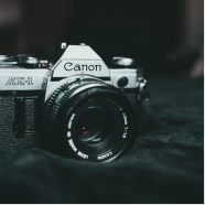 取扱いジャンル 4