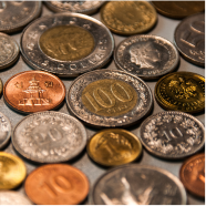 取扱いジャンル 9