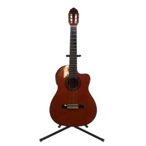 バレンシア エレガットギター ギター CG-180CE