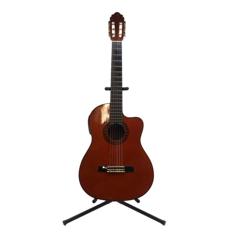 バレンシア エレガットギター ギター CG-180CE